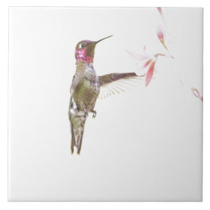 Hummingbird and single Flower Ceramic Tile