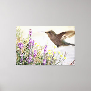 Hummingbird and Wildflowers Digital Art Canvas Print