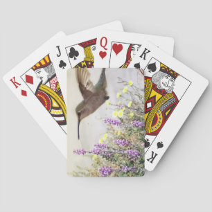 Hummingbird and Wildflowers Digital Art Poker Cards