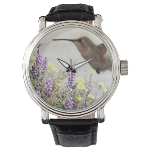 Hummingbird and Wildflowers Digital Art Watch