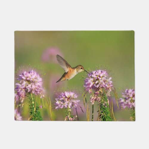 Hummingbird and Wildflowers Doormat