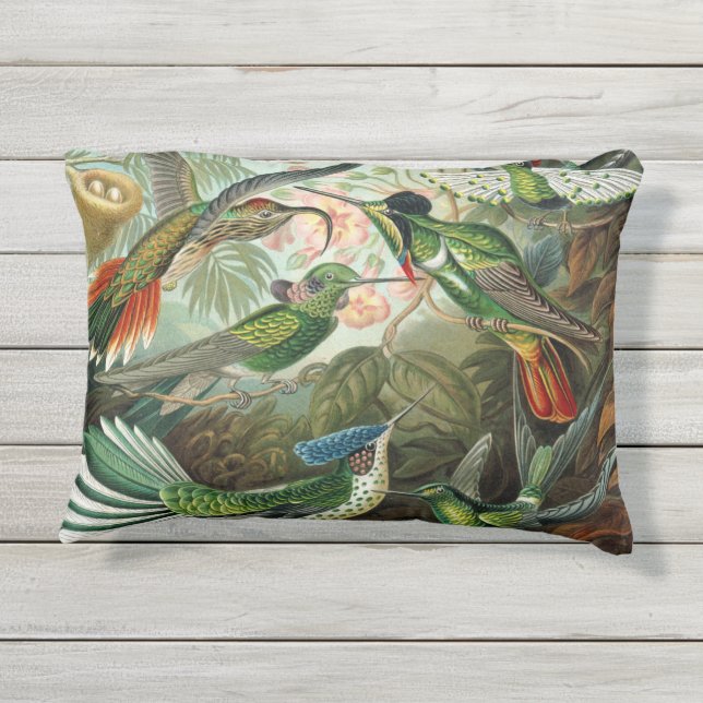 Hummingbird Antique Print Outdoor Pillow (Back)