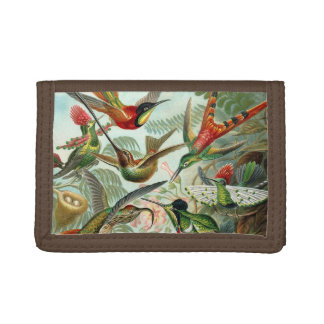 Hummingbird Antique Print Trifold Wallet