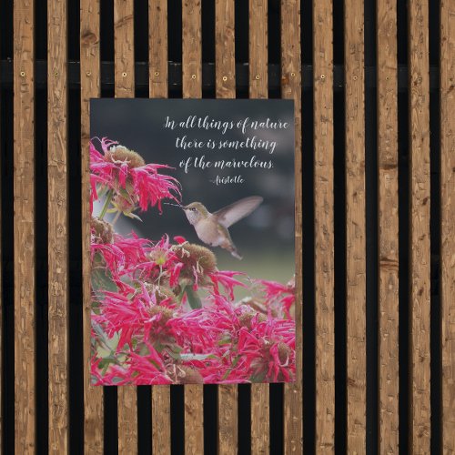 Hummingbird Aristotle Philosophical Quote Acrylic Print