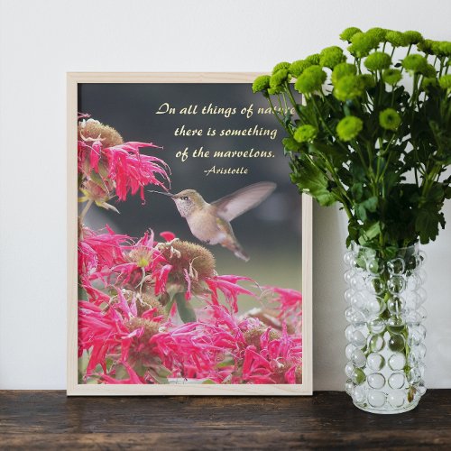 Hummingbird Aristotle Philosophical Quote Foil Prints