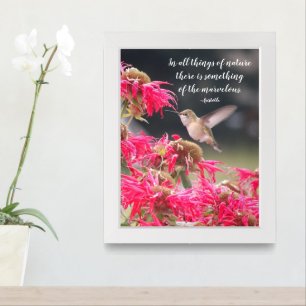 Hummingbird Aristotle Philosophical Quote Framed Art