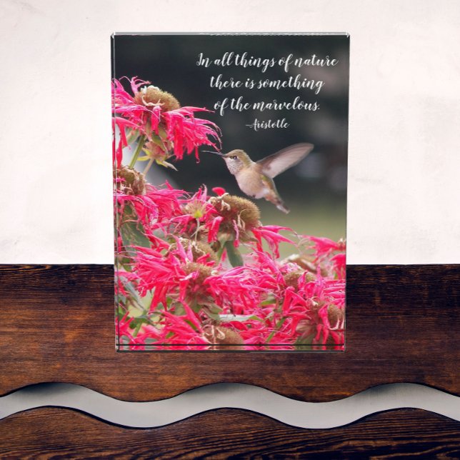 Hummingbird Aristotle Philosophical Quote Photo Block (In Situ)