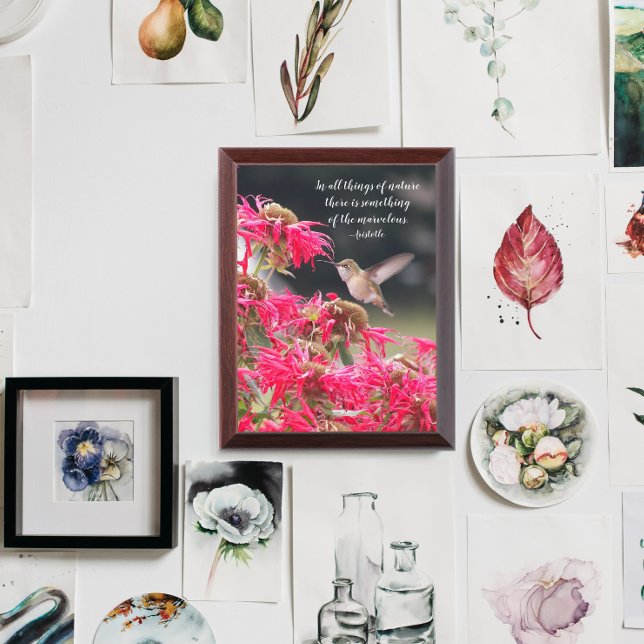 Hummingbird Aristotle Philosophical Quote Plaque (In Situ)