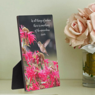 Hummingbird Aristotle Philosophical Quote Plaque