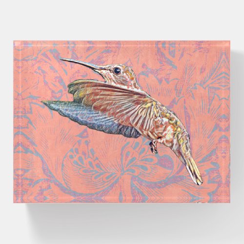 Hummingbird Art Vintage Pattern Paperweight