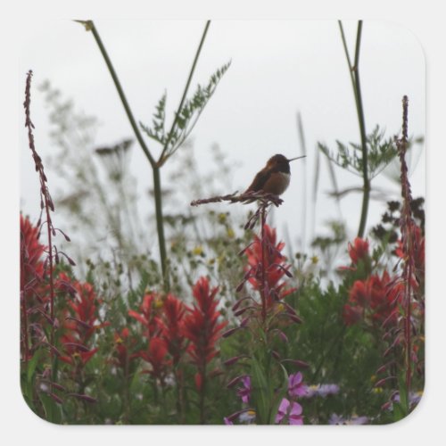 Hummingbird at Dusk Square Sticker