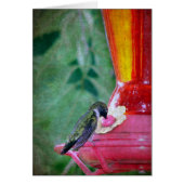 Hummingbird at Feeder (Front)