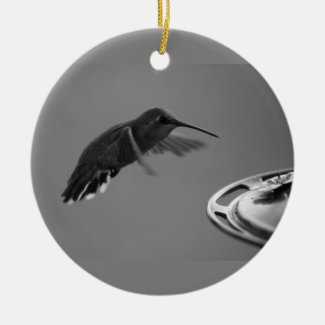 Hummingbird at Feeder Black and White 1 or 3 Ceramic Ornament