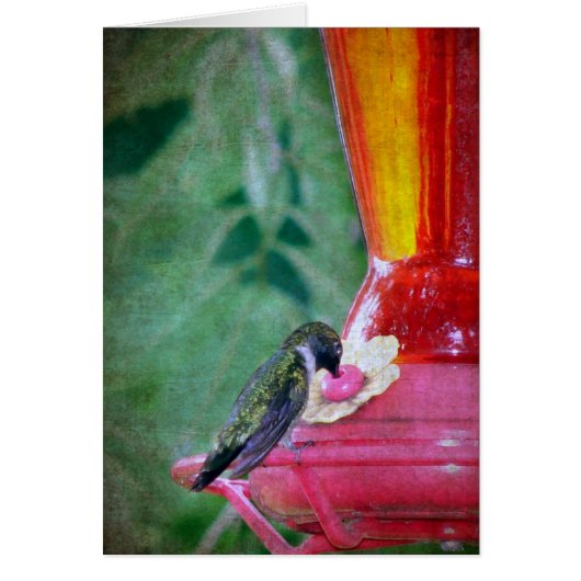Hummingbird at Feeder Cards (Front)