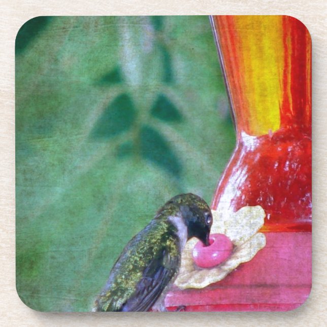 Hummingbird at Feeder Coaster (Front)