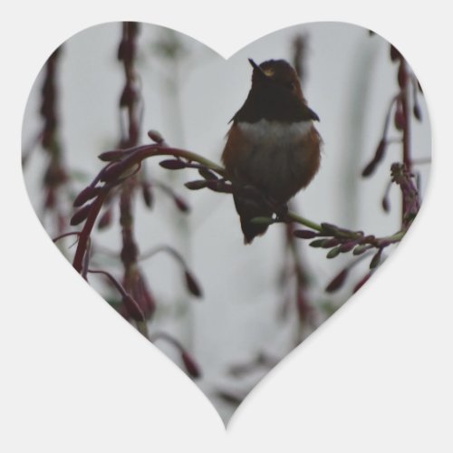 Hummingbird at rest heart sticker