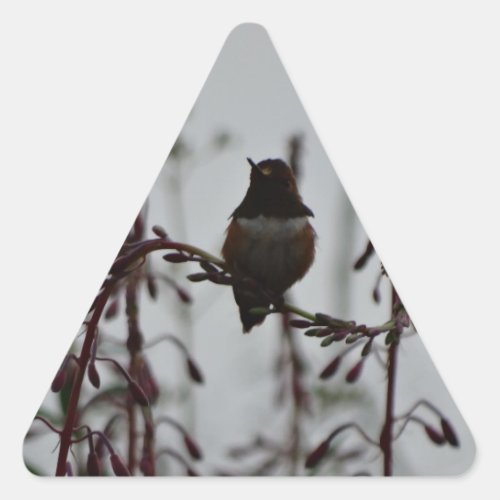 Hummingbird at rest triangle sticker