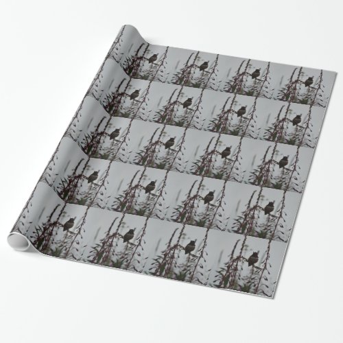 Hummingbird at rest wrapping paper