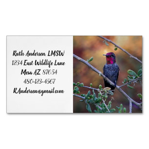 Hummingbird at sunset business card magnet