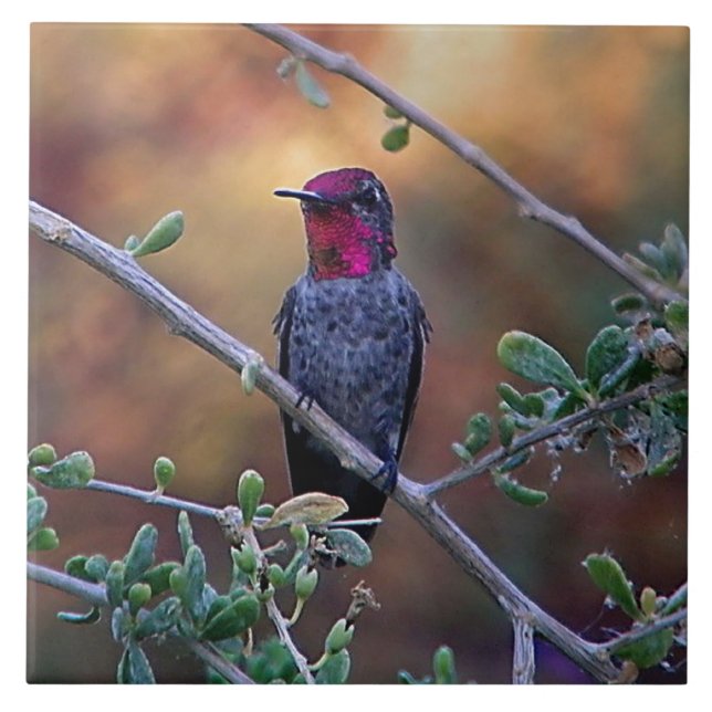 Hummingbird at sunset ceramic tile (Front)