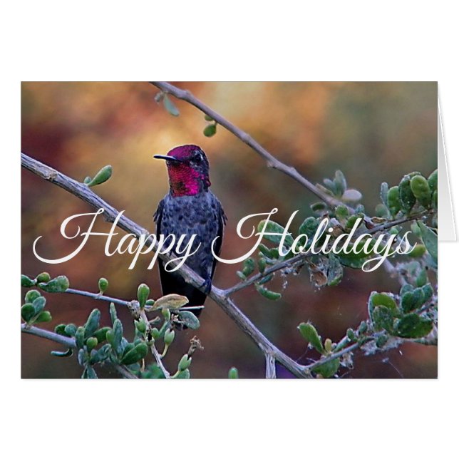 Hummingbird at sunset, Happy Holidays Cards (Front Horizontal)