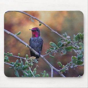 Hummingbird at sunset  mouse pad
