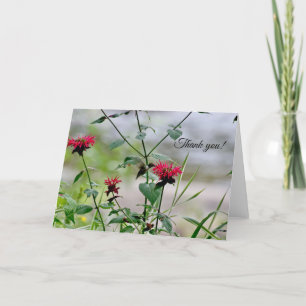 Hummingbird at the Flowers - ADK Thank You Card
