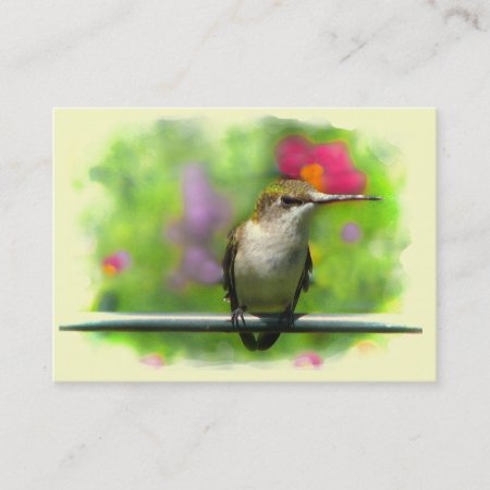Hummingbird Atc Business Card