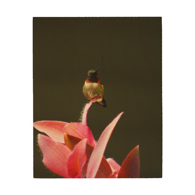Hummingbird Balance Wood Wall Art (Front)