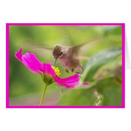 hummingbird Bird Animal Wildlife Floral (Front Horizontal)