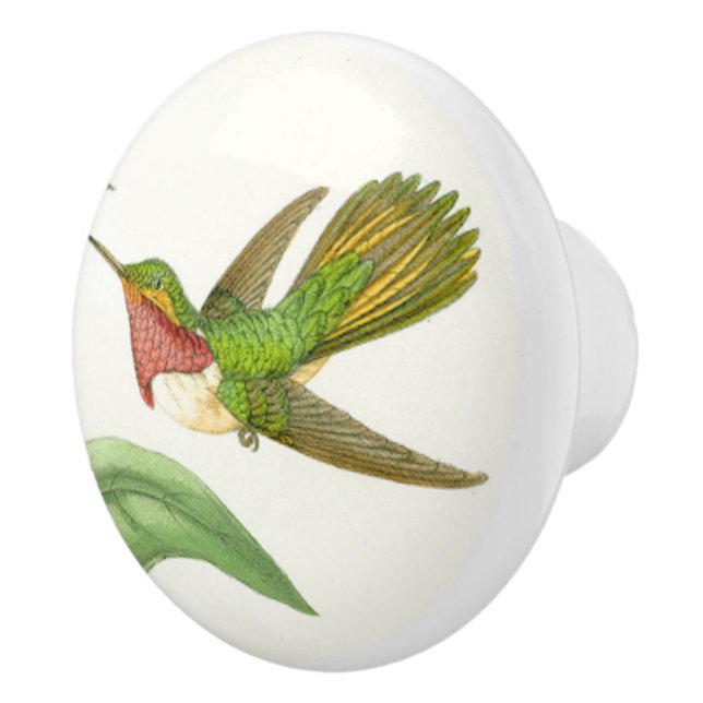 Hummingbird Bird Animal Wildlife Knob (Right)