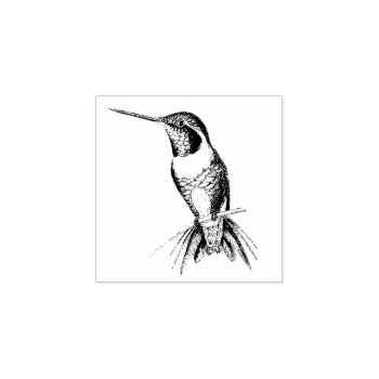 Hummingbird Bird Animal Wildlife Wood Stamp by farmer77 at Zazzle