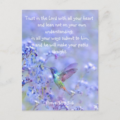 Hummingbird Bird Blue Garden Flower BibleScripture Postcard