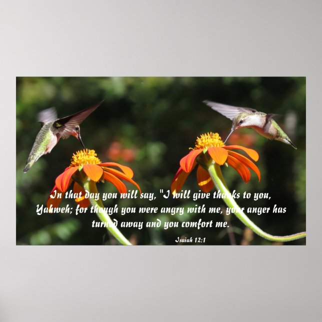 Hummingbird Bird Flower Floral Isaiah 12:2 Comfort Poster (Front)