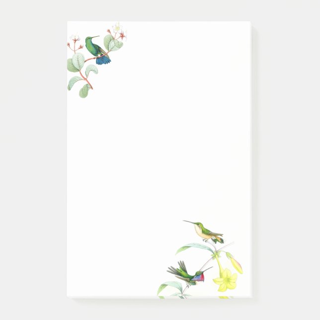 Hummingbird Bird Flowers Floral Post it Notes (Front)