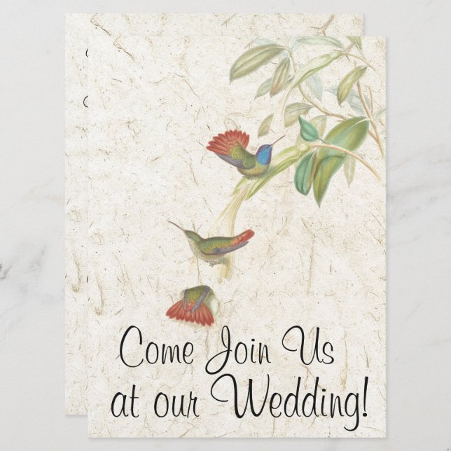 Hummingbird Bird Flowers Wedding Invitation (Front/Back)