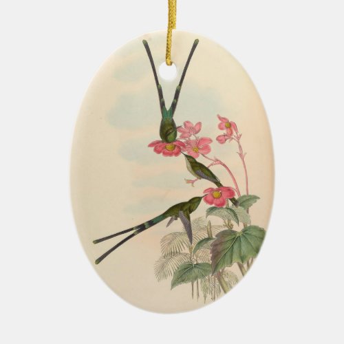 Hummingbird Bird Illustration Bird Art Vintage Ceramic Ornament