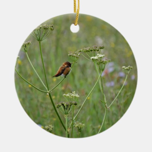 Hummingbird Bird in Flowers Ceramic Ornament