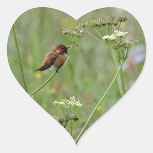 Hummingbird Bird in Flowers Heart Sticker