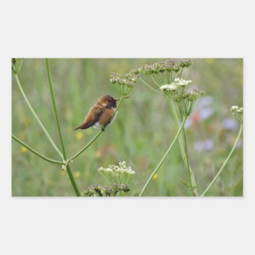 Hummingbird Bird in Flowers Rectangular Sticker