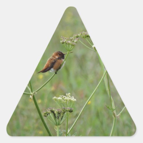 Hummingbird Bird in Flowers Triangle Sticker