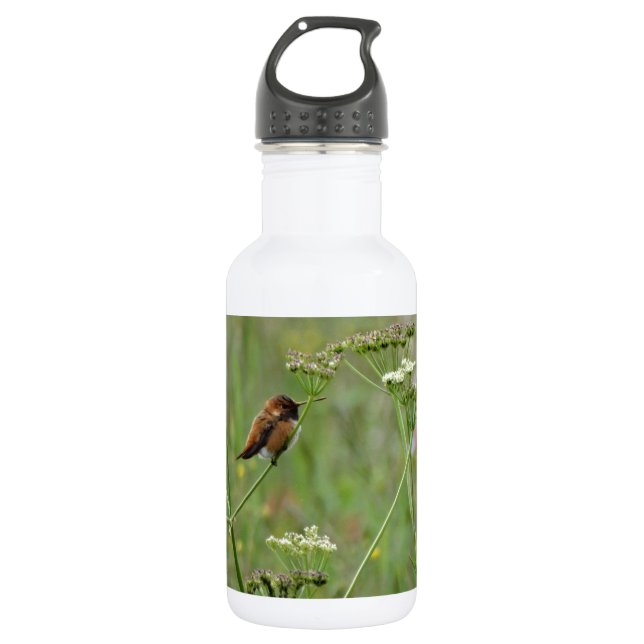 Hummingbird: Bird in Flowers Water Bottle (Front)