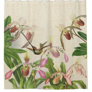 Hummingbird Bird Ladys Slipper Orchid Flowers Shower Curtain
