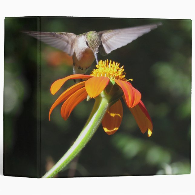 Hummingbird Bird Monarch Butterfly Flowers Floral Binder (Front/Spine)