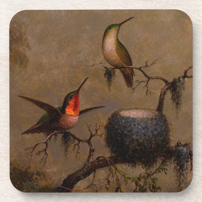 Hummingbird bird nest victorian heade painting beverage coaster (Front)