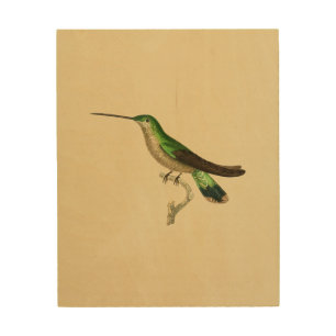 Hummingbird Bird Print Green