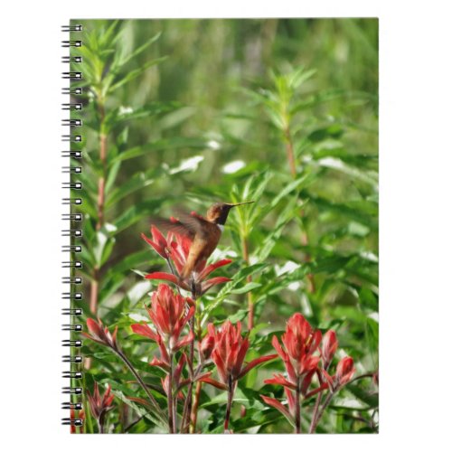 Hummingbird  bird red flower notebook