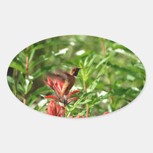 Hummingbird  bird red flower oval sticker