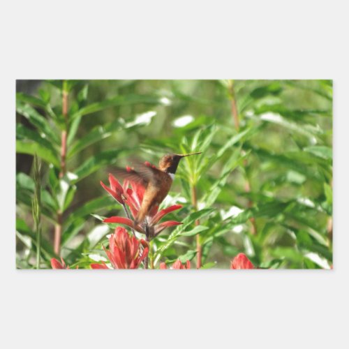 Hummingbird  bird red flower rectangular sticker