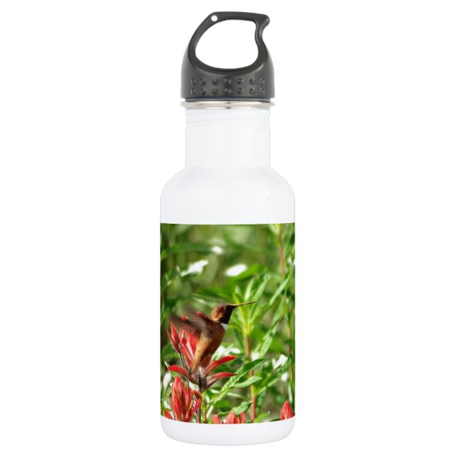 Hummingbird  bird red flower stainless steel water bottle (Front)